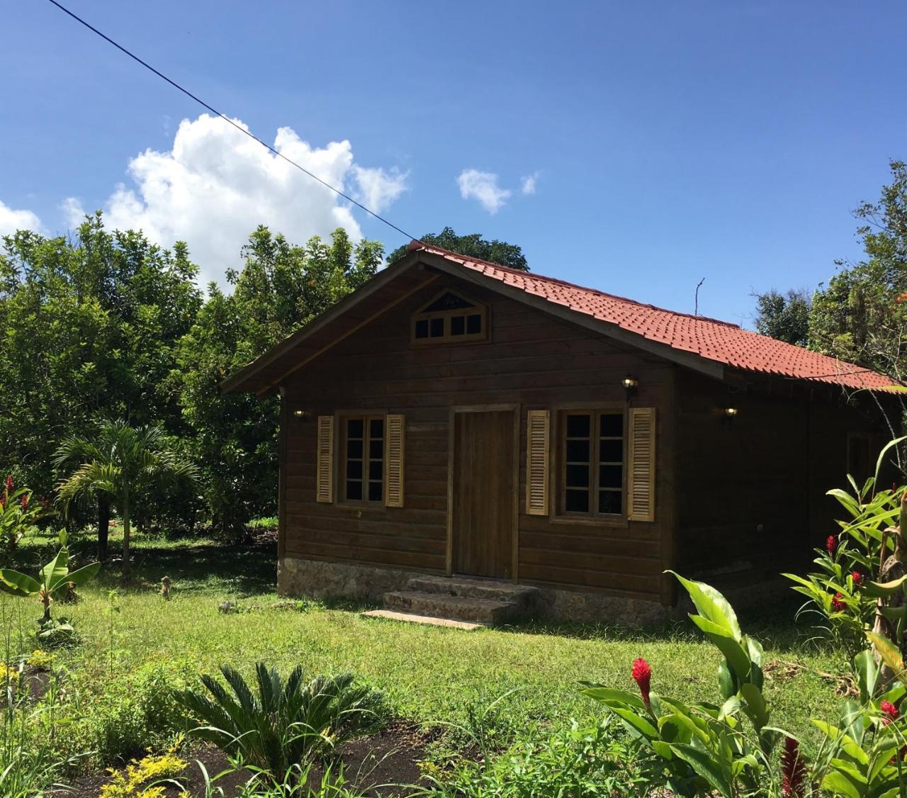 Hospedaje En El Lago 산페드로술라 외부 사진